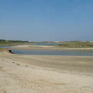Zwin Nature Reserve - Zwin plains, 2007-04-22