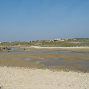 Zwin Nature Reserve - Zwin plains, 2007-04-22
