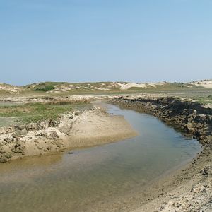 Zwin Nature Reserve - Salt water creek in Zwin plains, 2007-04-22