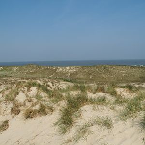 Zwin Nature Reserve - Dune area, 2007-04-22