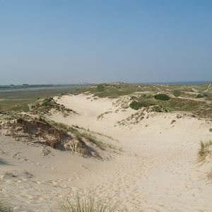 Zwin Nature Reserve - Dune area, 2007-04-22