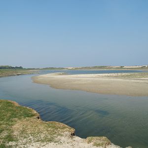 Zwin Nature Reserve - Zwin plains, 2007-04-22