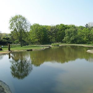 Zwin Bird Park (Now closed and demolished) - Swan and goose exhibit, 2007-04-22
