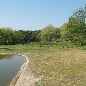 Zwin Bird Park (Now closed and demolished) - Swan and goose exhibit, 2007-04-22