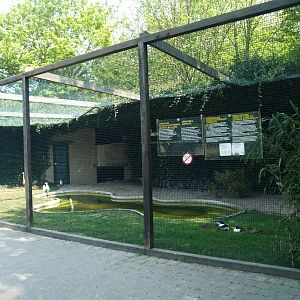 Zwin Bird Park (Now closed and demolished) - Eurasian spoonbill, Purple heron, Cattle egret and Shoveler aviary, 2007-04-22