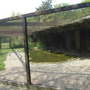 Zwin Bird Park (Now closed and demolished) - Pied avocet, Duck and Common tern aviary, 2007-04-22