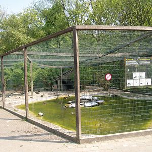 Zwin Bird Park (Now closed and demolished) - Duck and seabird aviary, 2007-04-22