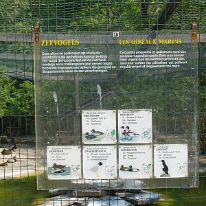 Zwin Bird Park (Now closed and demolished) - Example of signage for ducks and seabirds, 2007-04-22