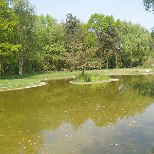 Zwin Bird Park (Now closed and demolished) - Second swan exhibit, 2007-04-22