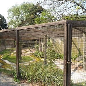 Zwin Bird Park (Now closed and demolished) - Wading bird aviary, 2007-04-22