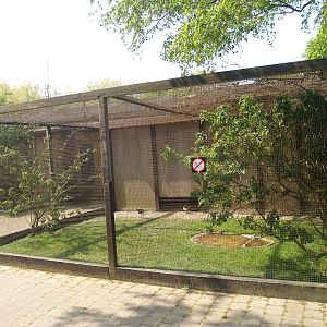 Zwin Bird Park (Now closed and demolished) - Eurasian oystercatcher aviary, 2007-04-22
