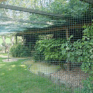 Zwin Bird Park (Now closed and demolished) - Wading bird aviary, 2007-04-22