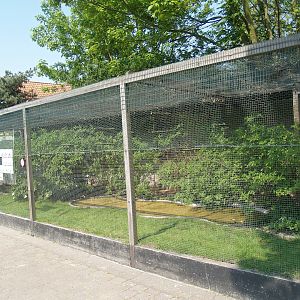 Zwin Bird Park (Now closed and demolished) - Songbird aviary, 2007-04-22