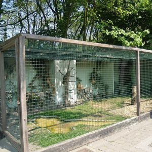 Zwin Bird Park (Now closed and demolished) - Eurasian eagle owl aviary, 2007-04-22