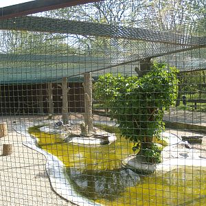 Zwin Bird Park (Now closed and demolished) - European herring gull and Greater black-backed gull aviary, 2007-04-22