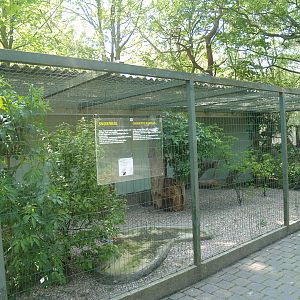 Zwin Bird Park (Now closed and demolished) - Snowy owl aviary, 2007-04-22