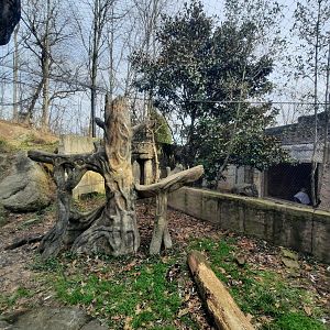 Jaguar Exhibit Right Side