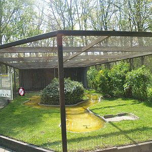 Zwin Bird Park (Now closed and demolished) - Pigeon aviary, 2007-04-22