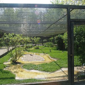 Zwin Bird Park (Now closed and demolished) - Wader aviary, 2007-04-22