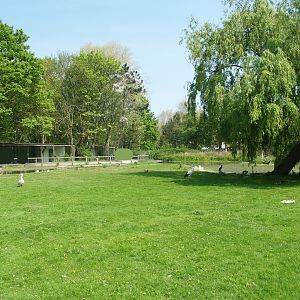 Zwin Bird Park (Now closed and demolished) - European white stork meadow, 2007-04-22