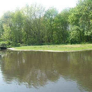 Zwin Bird Park (Now closed and demolished) - Greater cormorant and goose exhibit, 2007-04-22