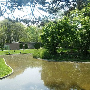 Zwin Bird Park (Now closed and demolished) - Greater cormorant and goose exhibit, 2007-04-22