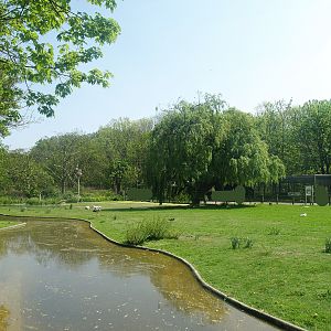 Zwin Bird Park (Now closed and demolished) - European white stork meadow, 2007-04-22