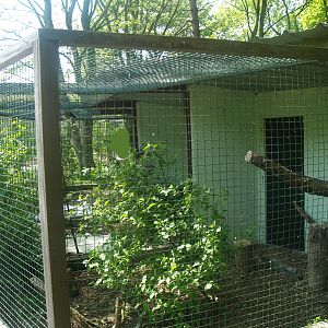Zwin Bird Park (Now closed and demolished) - Small raptor aviary, 2007-04-22