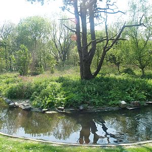 Zwin Bird Park (Now closed and demolished) - Duck and goose exhibit, 2007-04-22