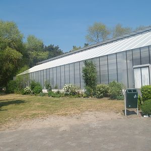 Knokke-Heist butterfly garden (Closed in 2010) - Greenhouse, 2007-04-22