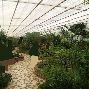 Knokke-Heist butterfly garden (Closed in 2010) - View in greenhouse, 2007-04-22