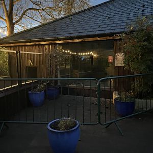 Fences around Fennec Fox Habitat