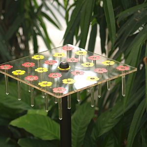 Knokke-Heist butterfly garden (Closed in 2010) - Nectar feeder, 2007-04-22