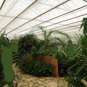 Knokke-Heist butterfly garden (Closed in 2010) - View in greenhouse, 2007-04-22