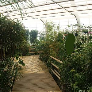 Knokke-Heist butterfly garden (Closed in 2010) - View in greenhouse, 2007-04-22