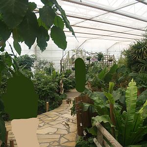 Knokke-Heist butterfly garden (Closed in 2010) - View in greenhouse, 2007-04-22