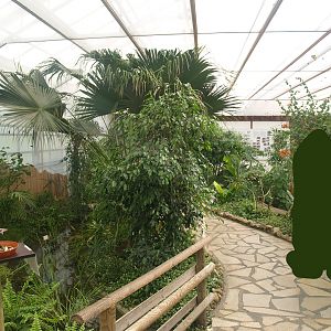 Knokke-Heist butterfly garden (Closed in 2010) - View in greenhouse, 2007-04-22