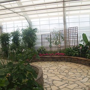 Knokke-Heist butterfly garden (Closed in 2010) - View in greenhouse, 2007-04-22