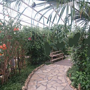 Knokke-Heist butterfly garden (Closed in 2010) - View in greenhouse, 2007-04-22
