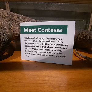 Contessa Sign