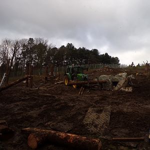 Work on gelada enclosure  16.2.24