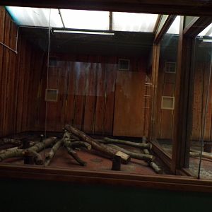 Former male koala enclosure 16.2.24