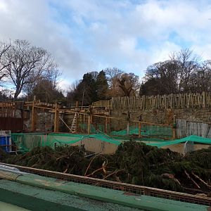 Demolition of former congo house 16.2.24
