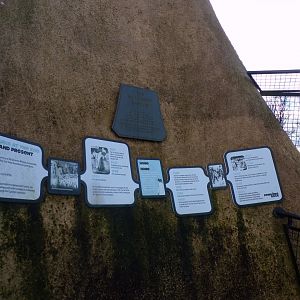 History of penguins at Edinburgh zoo 16.2.24