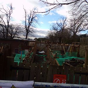 Demolition of former Congo house 16.2.24