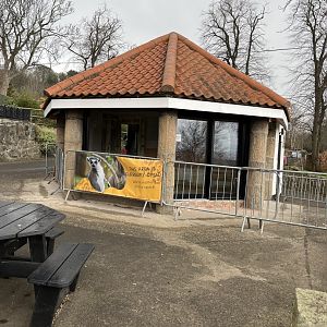 Work on ice cream parlour 9.3.24