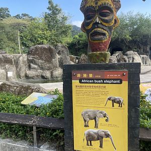 African Elephant Exhibit , Taipei Zoo