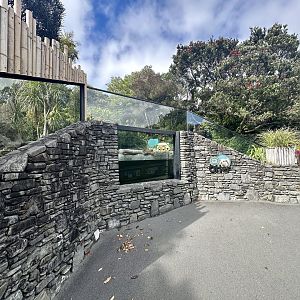 Asian-small Clawed Otter Exhibit