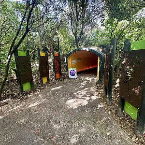 Nocturnal House (Partially Closed)