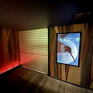 Kiwi House (Reopening 2025)